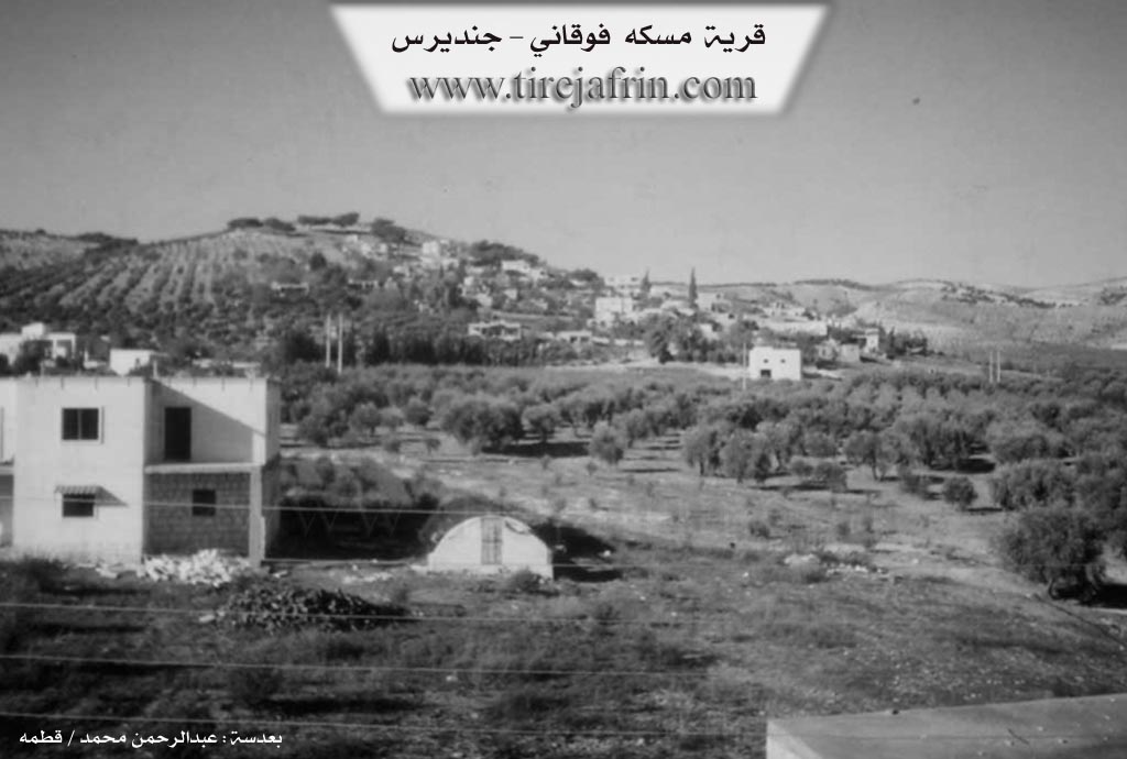 Photo of Miskê Jorin